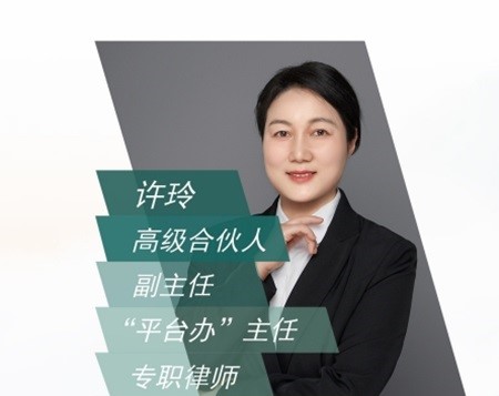 許玲律師 精誠申衡南京律所高級合伙人